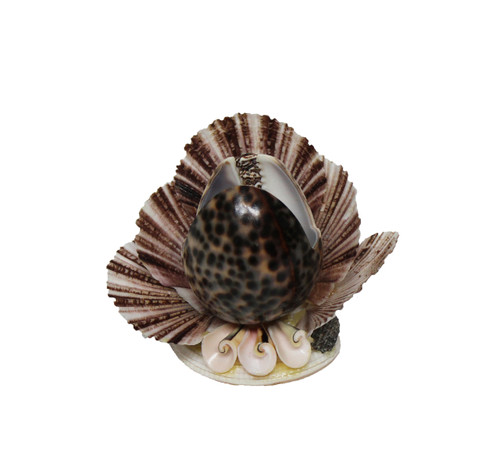 Tiger Cowrie Seashell Napkin Holder