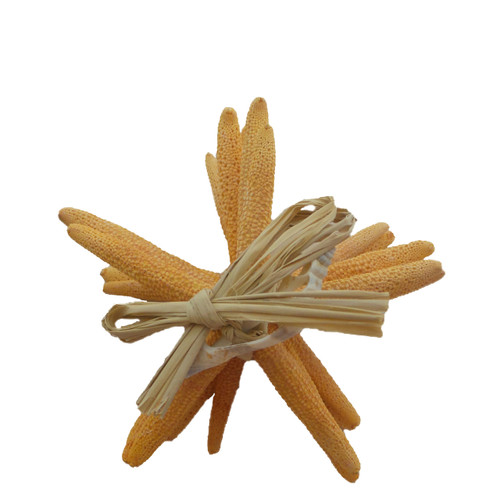 Dyed Orange Finger Stars Gift Bundle 