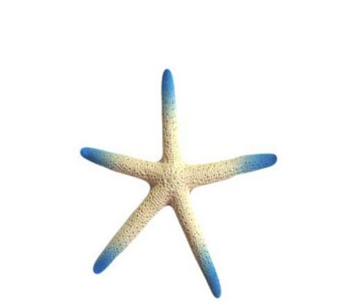 Tip Dyed Finger Star-Turquoise