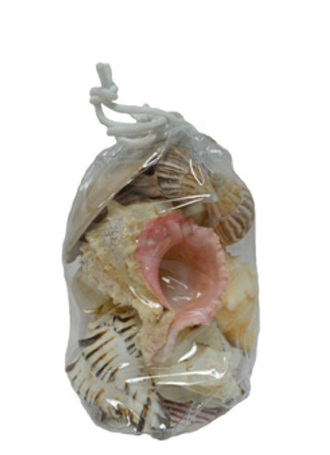 Gulf Seashell Mix- Vinyl Bag Gulf Seashell Mix- Vinyl Bag