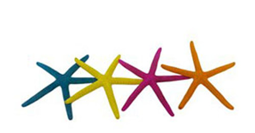 Assorted Dyed Finger Starfish