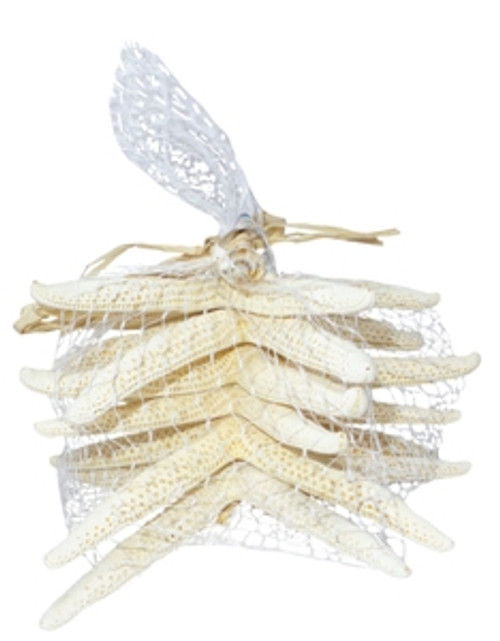White Finger Starfish in Mesh Bag