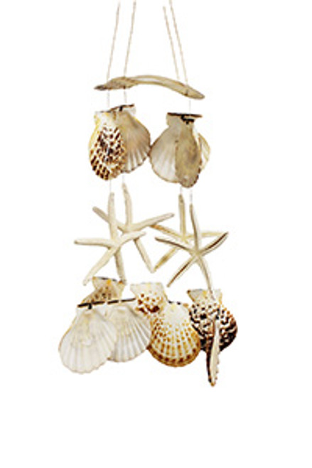 Saddle Oyster With Finger Starfish Windchime