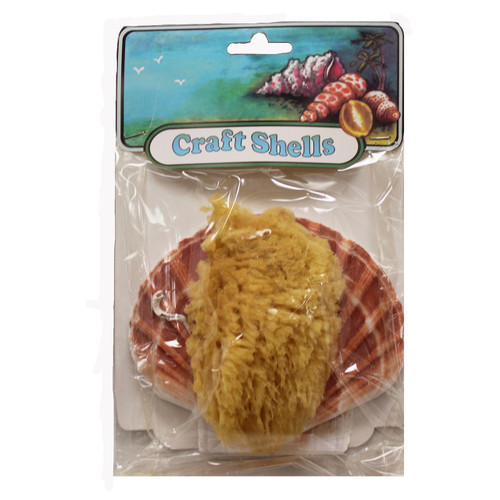 Irish Flat w/Sponge Ass't