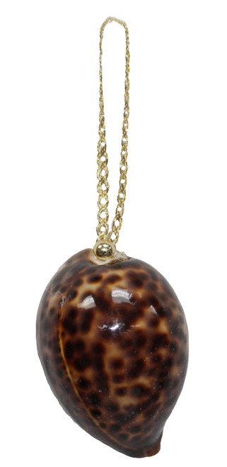 Tiger Cowrie Ornament