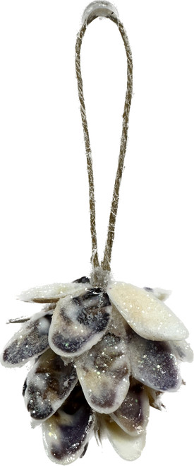 Glittered Coquina Ornament