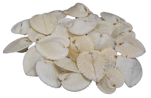 Heart Cockles
