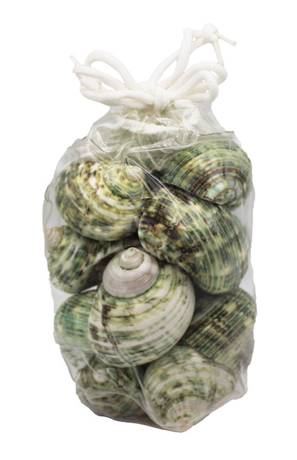 Polished Green Turbos Small Vinyl Bag