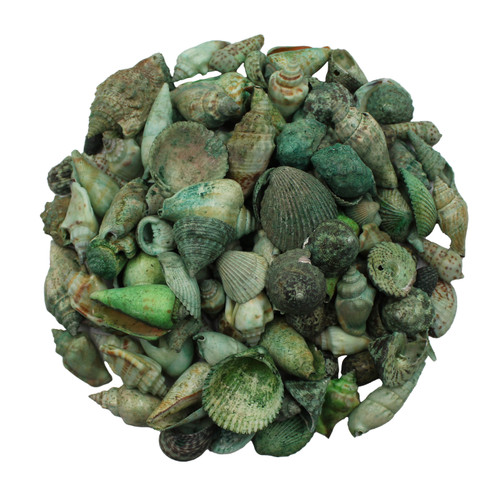 Dyed Green Medium Mix