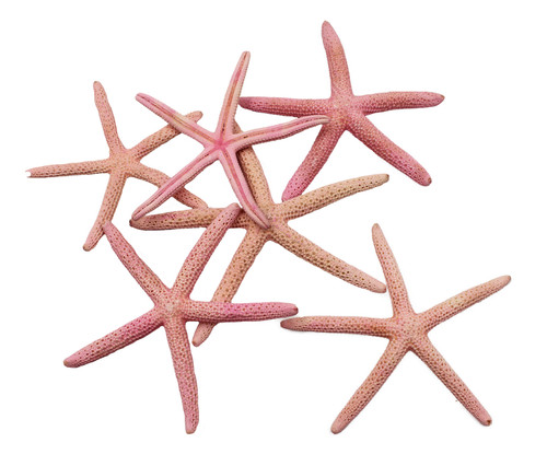 Dyed Light Pink Finger Star 3-4"