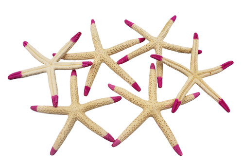 Tip Dyed Finger Starfish-Pink