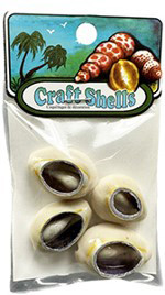Cut Cowrie Seashells- Craft Pack