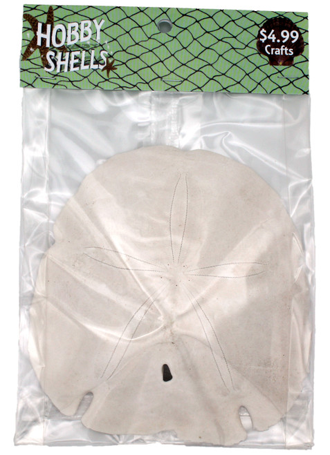 Arrowhead Sanddollar- Craft Pack