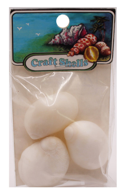 White Naticas Seashells- Craft Pack