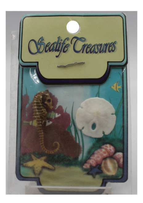 Sandollar/Pygmy Seahorse