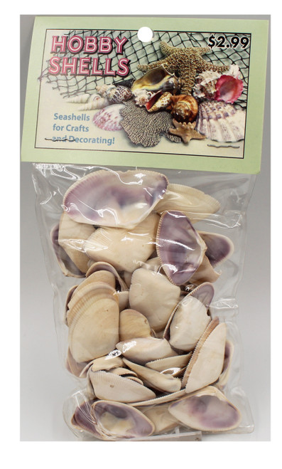 Coquinas- Craft Pack