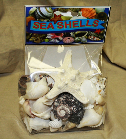 Black & White Shell Mix