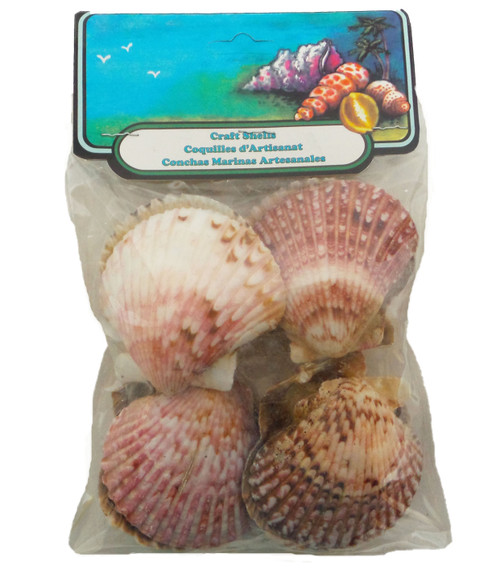 Pecten Mix 