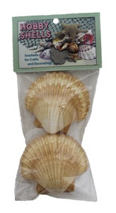 Yellow Cup- Craft Pack