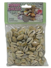 Ringtop Cowries- Craft Pack