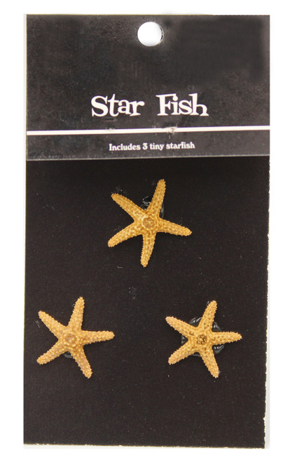 Small Bay Starfish Mix of 3 - Limited Inventory