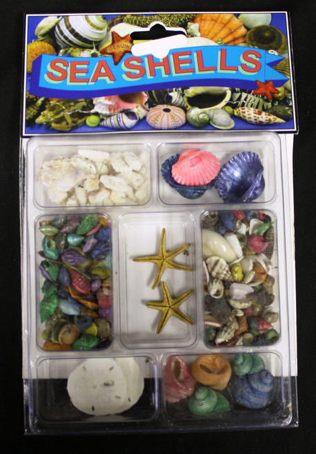 Assorted Dyed & Sealife Collection