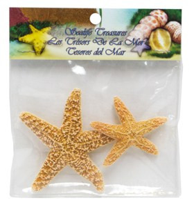 Sugar Starfish- Craft Pack