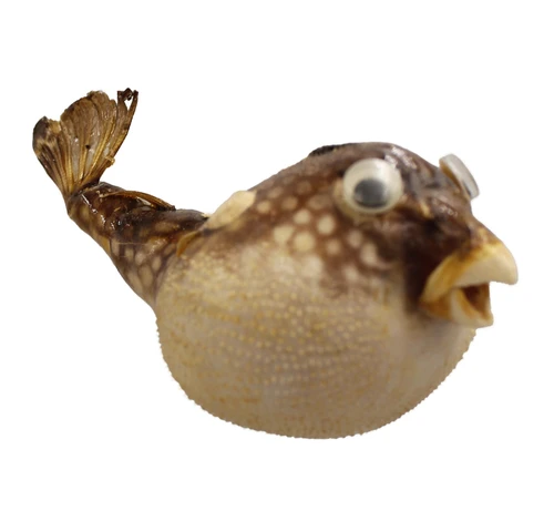 Blowfish