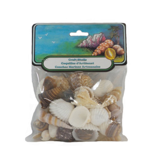 Small World Mix Seashells 