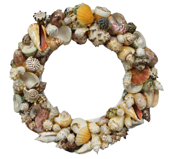 Assorted Seashells Wreath 10"