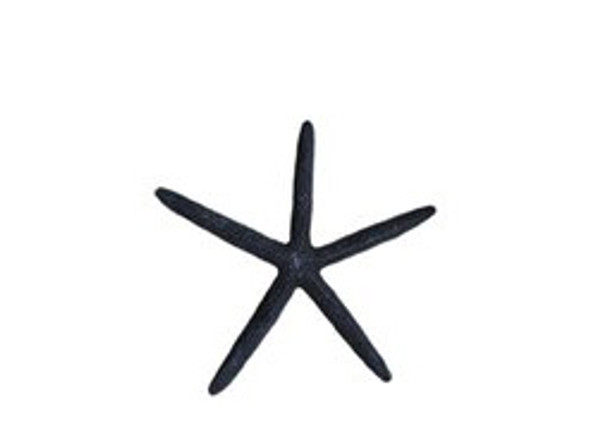 Dyed Black Finger Starfish 3 - 4"