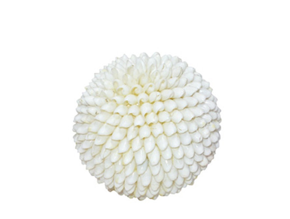 White Bubble Seashells Ball