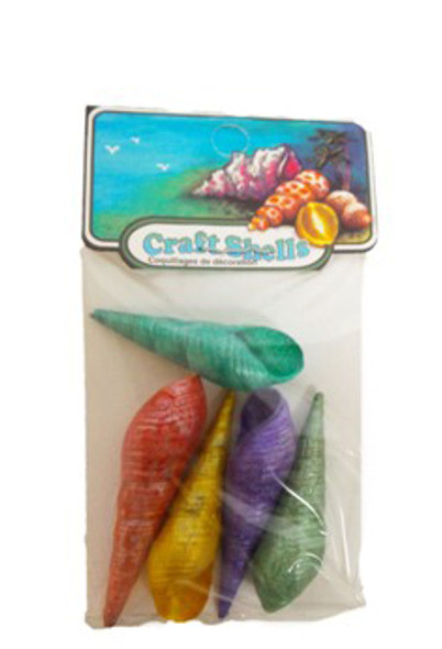 Dyed Bullia Seashells 