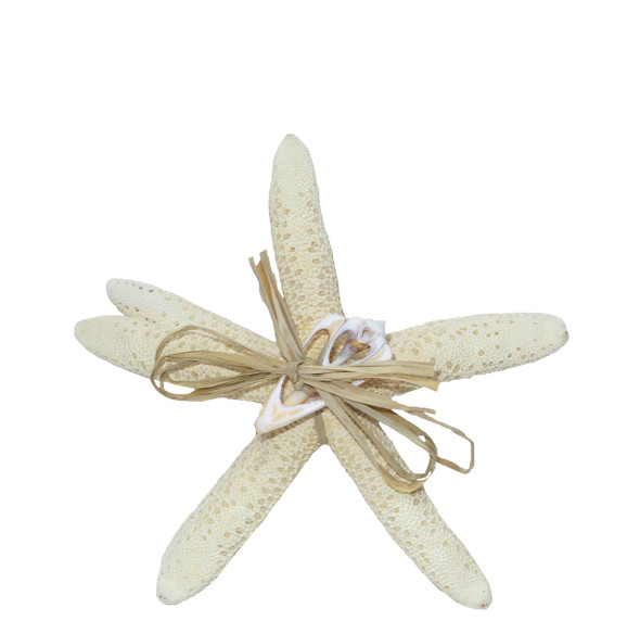 White Finger Star Bundle  6 - 7"  Set of 2 