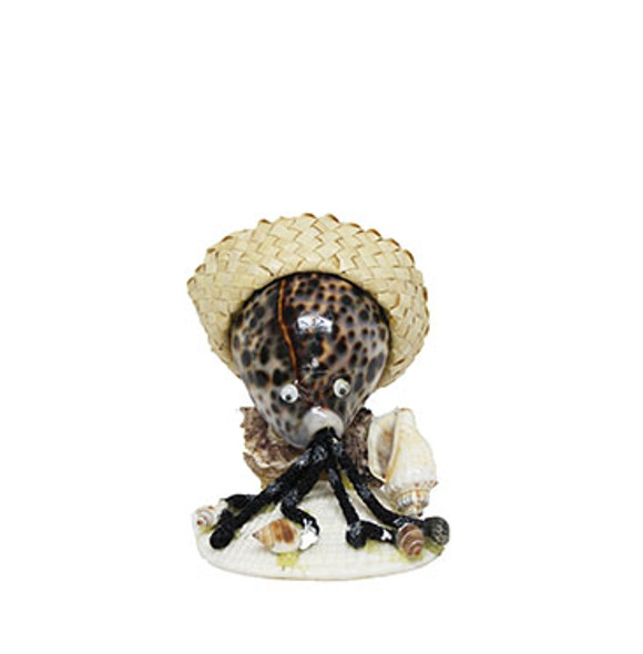 Tiger Cowrie Octopus With Hat