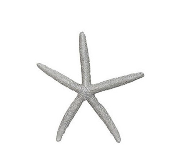 Painted Finger Starfish-Silver