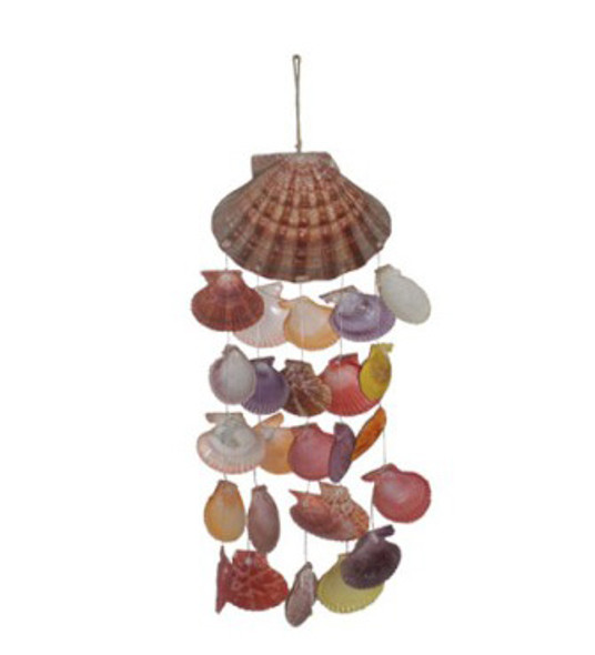 Lion's Paw Windchime w/Ass't Color Pecten Nobilis