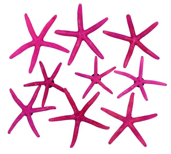 Pink Dyed Finger Star Magnet