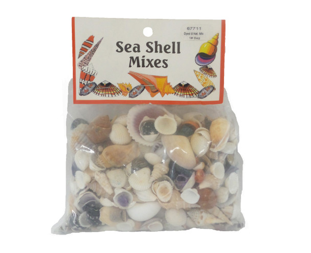  Dyed and Natural Mix Seashells
