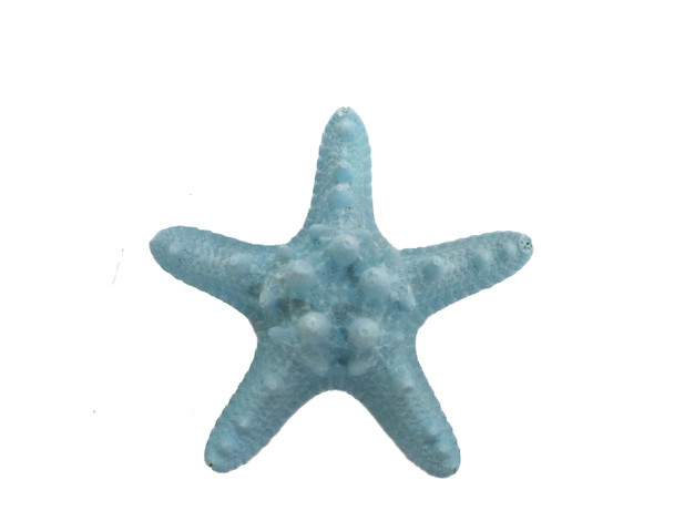 Dyed Light Blue Armoured Starfish