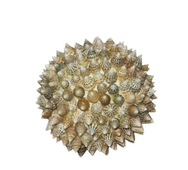 Natural Top Seashell Ball