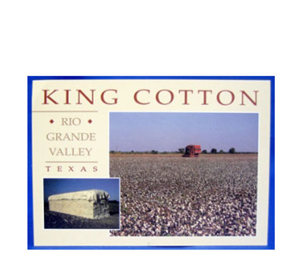 King Cotton Postcard