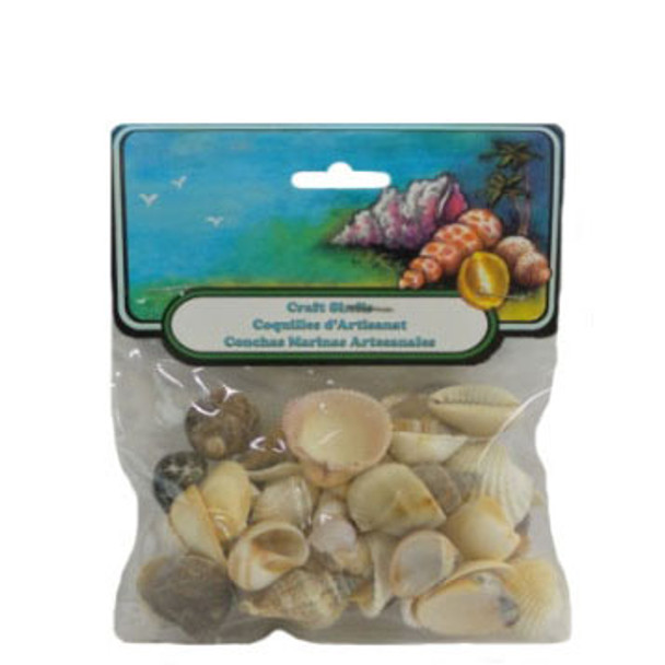 Small Natural Mix Seashells