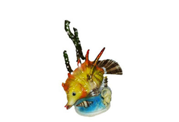 Lambis Lambis Fish Novelty