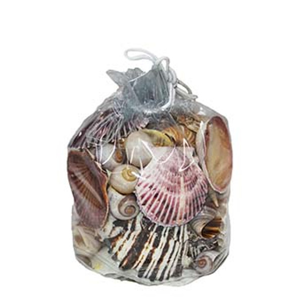 Large Seashell Bag