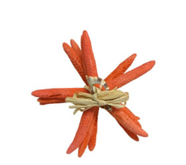 Finger Starfish Bundle 6 - "- Fire Red- Set of 4 W/Raffia & Slice Tie