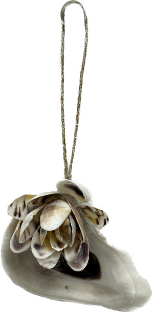 Oyster w/Coquina Flower Ornament