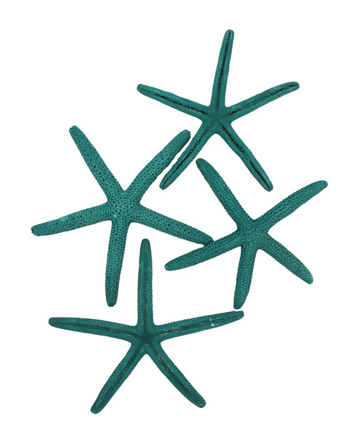 Painted Finger Star - Green