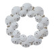 SANDDOLLAR