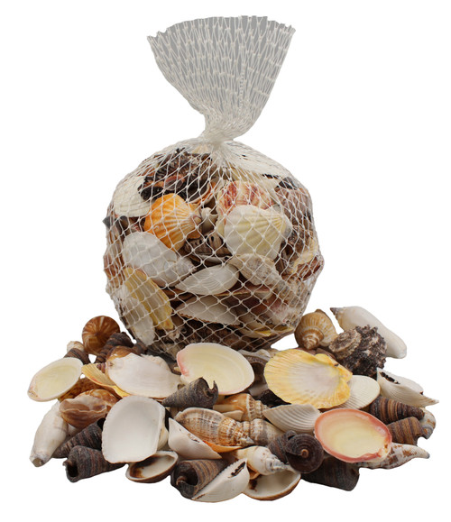 U. S. Shell, Inc.